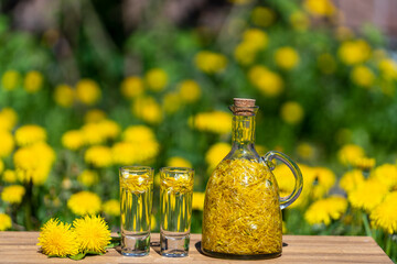 Homemade dandelion flowers tincture in two glasses and in a glass bottle on a wooden table in a summer garden, closeup