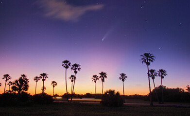 Comet Neowise over sunset palm trees © Bethany
