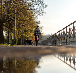 A woman rides a bicycle on a street in Prague. The reflection of the bike in the puddle.