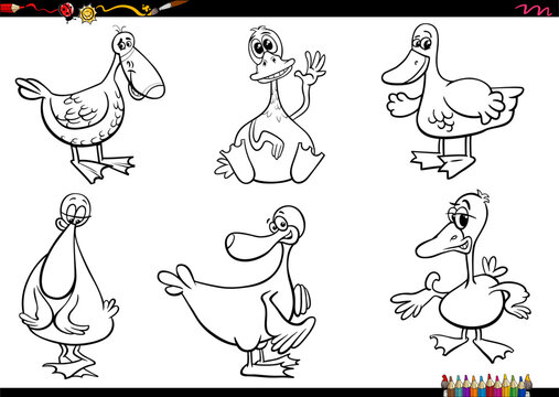 cartoon ducks farm animal characters set coloring page