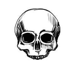 Hand drawn skull