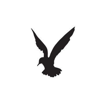  A beautiful flying bird silhouette illustration