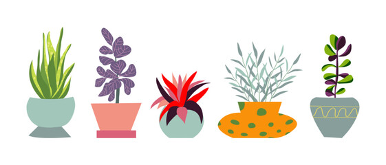 Urban jungle, trendy home decor with plants, tropical leaves in stylish planters and pots. Cartoon style