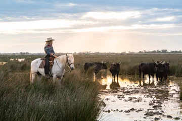 Cowboy carrying a long cattle prod near a herd of bulls, Camargue, France © beatrice prève