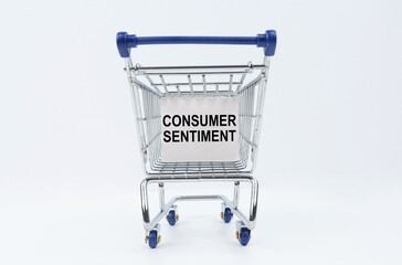 On a white background is a shopping cart with a sign that says - Consumer Sentiment