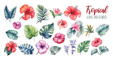 Hand drawn watercolor tropical plants set . Exotic palm leaves, jungle tree, tropic botany elements and flowers. Perfect for fabric design, webdesign, banner and backgrounds.