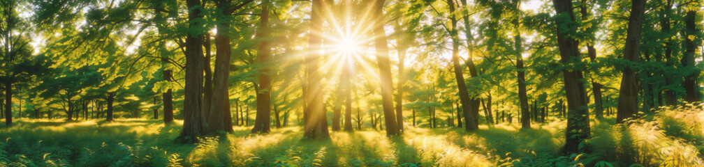Sun shining through trees in the forest, park. Beautiful summer day in nature. Panoramic background, banner. Generative AI.
