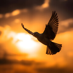 Plakat Silhouette of beautiful dove flying through the air at sunrise. generative ai