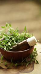 Aromatherapy - oregano essential oil 
