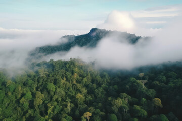 Fototapeta premium Foggy landscape in the jungle. Fog and cloud mountain tropic valley landscape. aerial view. AI