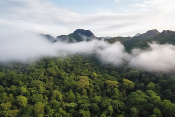 Foggy landscape in the jungle. Fog and cloud mountain tropic valley landscape. aerial view. AI