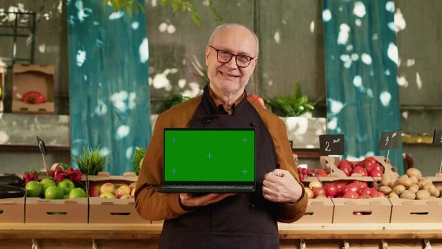 Elderly local farmer holding laptop with isolated greenscreen outdoors at local food fair, sunny day. Senior man showing chroma key display with blank mockup copyspce on screen, wearing pron.