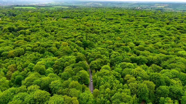 Aerial footage of Epping park in Essex, England, UK
