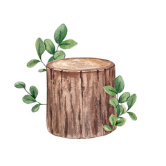 Tree stump on a white background. Watercolor hand drawn illustration of an old stump with leaves. Clipart for postcards, stickers. Forest camping.