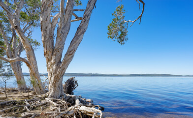Mill Point, Lake Cootharaba, Noosa