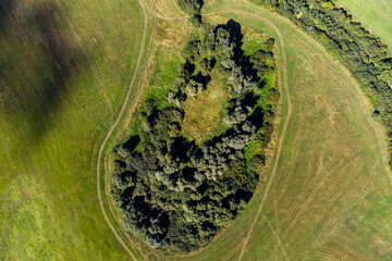Ogubskoye swamp settlement, view from a great height. Archaeological site in Zhukovsky district,...