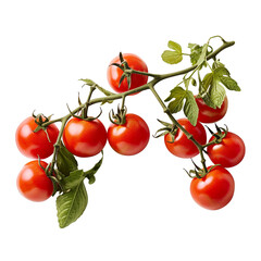 Small tomatos on a branch isolated (Generative AI)