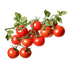Small tomatos on a branch isolated (Generative AI)
