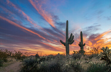 Desert Sunset Skies In North Scottsdale Arizona With Two Saguaro Cactus