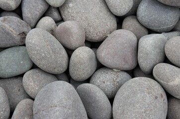 a scattering of stones of a rounded shape