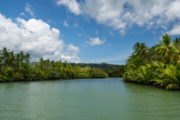 River tour during lunch in Bohol, Philippines