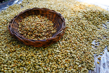 background coffee bean sorting process arabica coffee bean sorting concept hand harvest