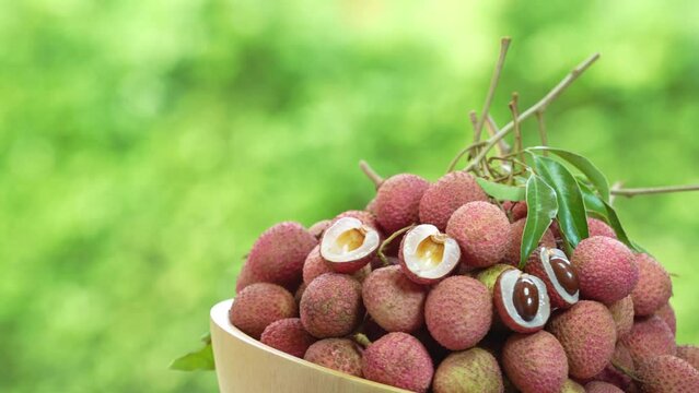 Red Lychee fruit in wooden basket over blur greenery background, Red Lychee or Litchi chinensis fruit over green natural Blur background.