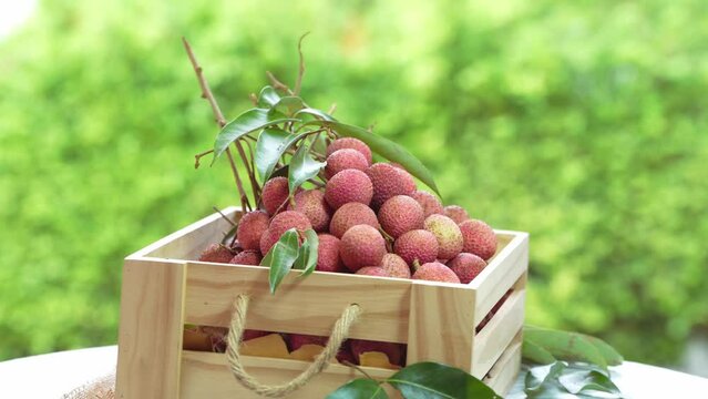 Red Lychee fruit in wooden basket on blur greenery background, Red Lychee or Litchi  fruit over green natural Blur background.
