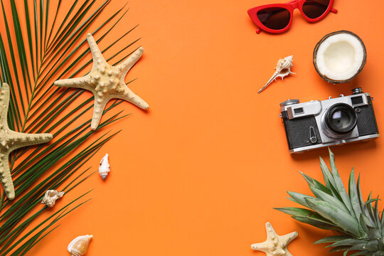 Composition with palm leaf, starfishes, fruits and photo camera on color background