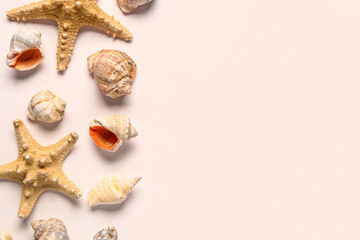 Seashells and starfishes on white background