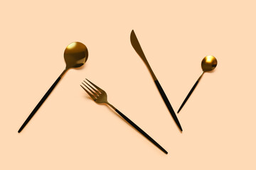 Stylish cutlery on beige background
