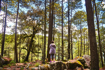 young woman in the forest with big pines and rocks with moss, girl in the wood stand up in front of trees
