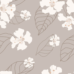 seamless floral pattern, Glory vine, white flowers on brown background