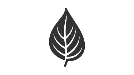 Eco icon black leaf vector illustration isolated on white background