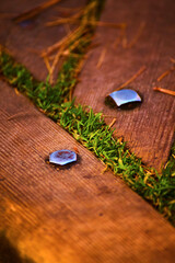 Metal rivets in brown wood plants with moss growing between the slats