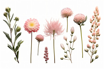  collection of pink flowers, including daisies, roses, and other types of flowers, Generative Ai