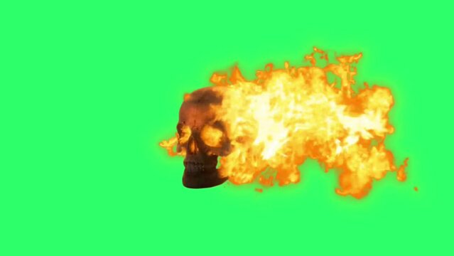 Animation burning skull on green background.