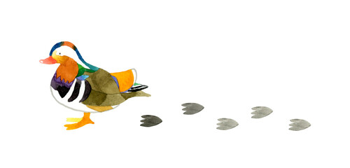 オシドリと足跡　かわいい・ゆるい動物の手描き水彩イラスト素材