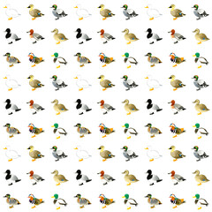 かわいいカモのシームレスパターン　手描き水彩イラストのゆるい動物柄