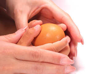 卵を持つ親子の手