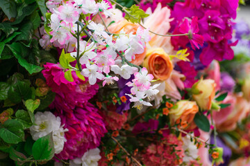 A collection of bright spring and summer flowers