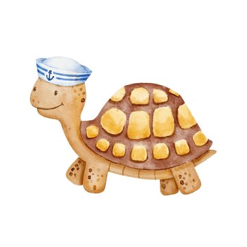 Watercolor cute smiling turtle with sailor hat isolated on white background. Baby character illustration