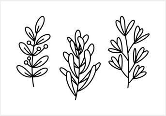 Doodle branch icon isolated. Sketch leaf clipart Vector stock illustration. EPS 10