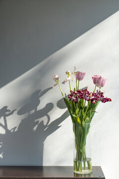 Fading or faded flowers, tulips in the vase on a white minimalistic background