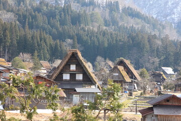 Fototapeta na wymiar 世界遺産, 日本の原風景・白川郷。茅葺屋根の並ぶ村。