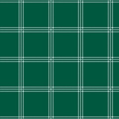 Fototapeta na wymiar Window pane plaid seamless pattern, white and green can be used in the design. Bedding, curtains, tablecloths