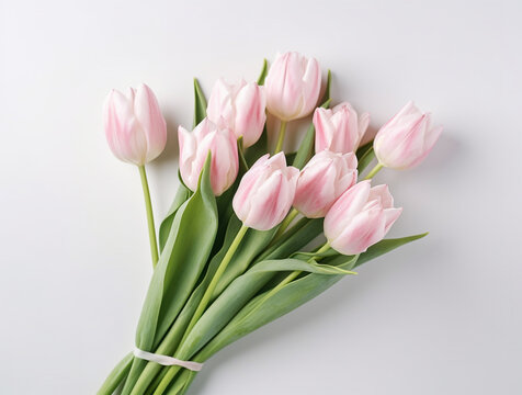 Beautiful tulip flowers with copy Space background, top view. Space for text