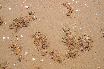 Different types of sand on the beach