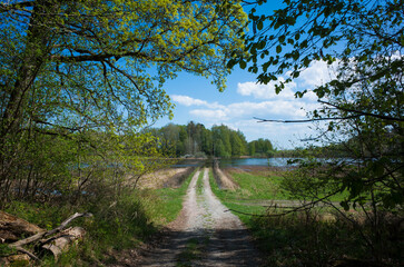 Fototapeta na wymiar Swedish countryside, A country road among the fields leading into the distance to a small forest, A view from a shady thicket in a natural frame of branches and tree foliage, Nature of Scandinavia