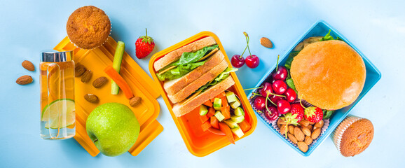 Healthy tasty kids school lunch box